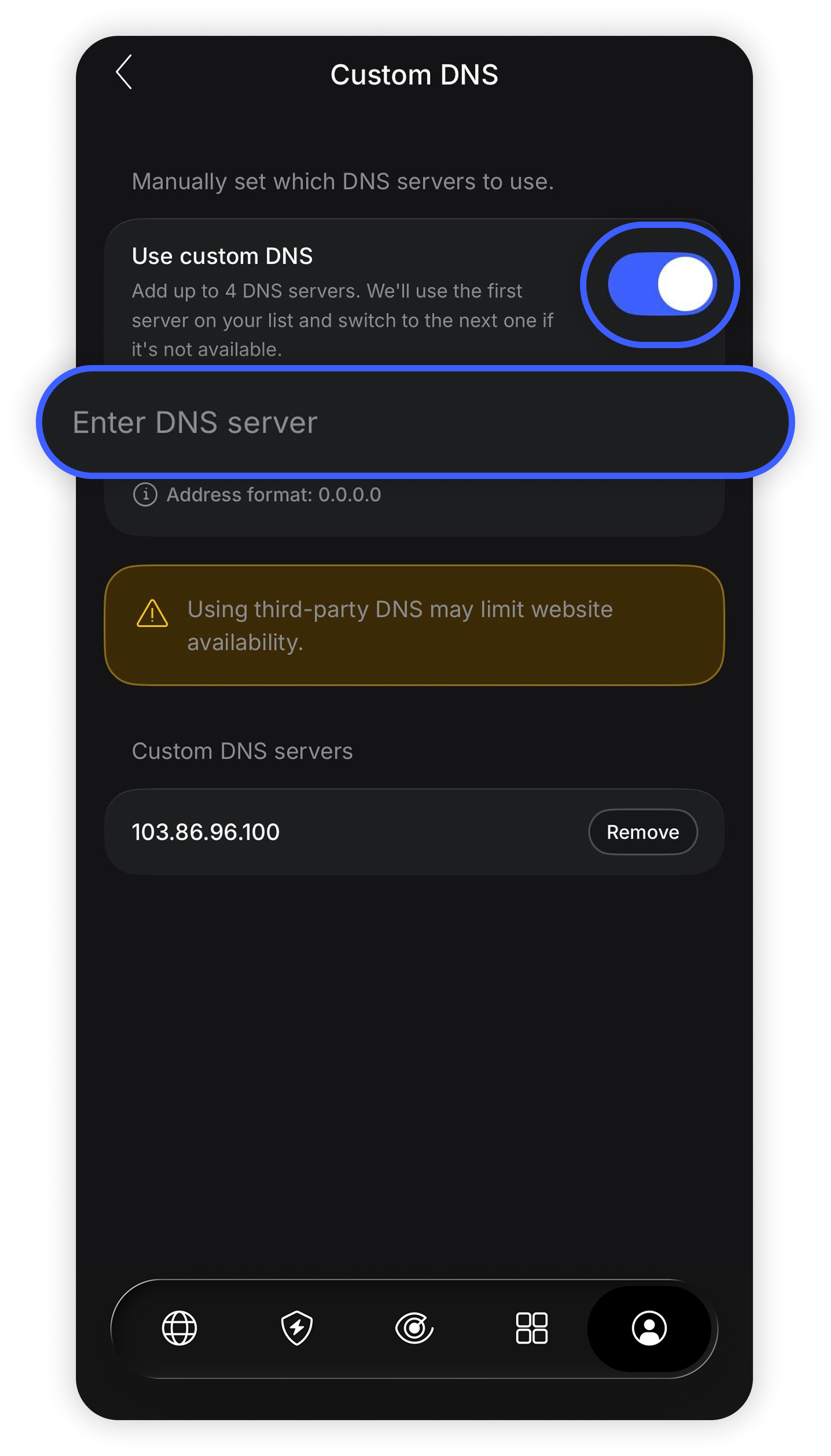 NordVPN iOS app Custom DNS screen with the Use Custom DNS feature enabled and the 'Enter custom DNS' input field circled in the Use custom DNS section